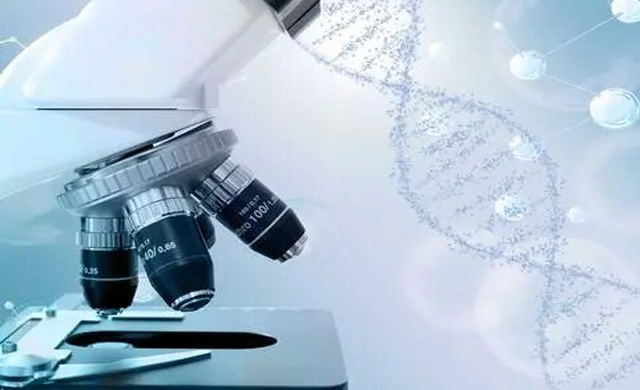 The Science, The Benefits, and The Lifestyle Foundation for Lasting Health